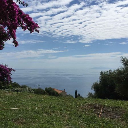 80 Route De San Martino Lägenhet Bastia  Exteriör bild