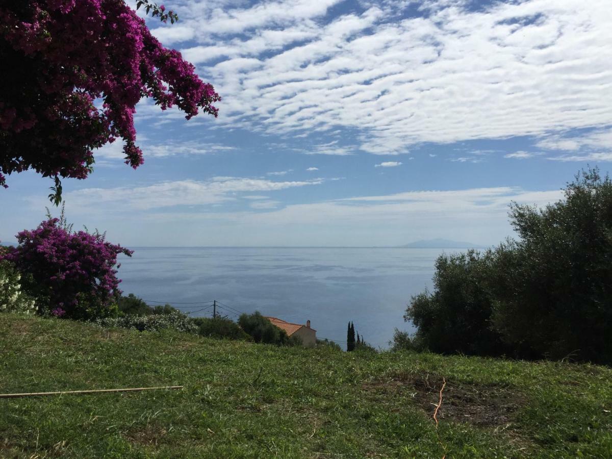 80 Route De San Martino Lägenhet Bastia  Exteriör bild